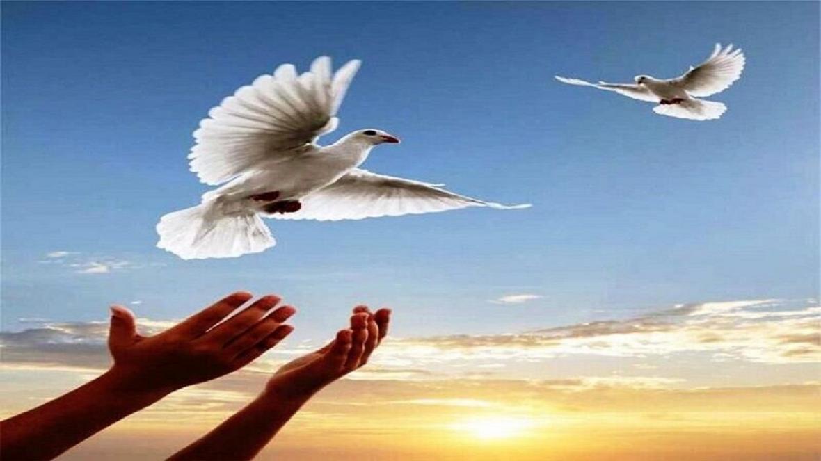 10 نفر از زندانیان جرایم غیرعمد سیستان و بلوچستان آزاد شدند 10 نفر از زندانیان جرایم غیرعمد سیستان و بلوچستان آزاد شدند