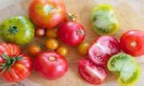 حساسیت به گوجه فرنگی: علائم، آزمایش و درمان حساسیت به گوجه فرنگی: علائم، آزمایش و درمان