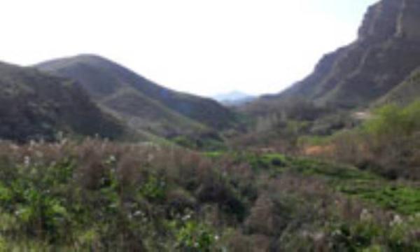 پارک ملی تندوره