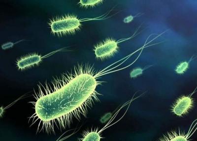 ابتلای قطعی 62 نفر به بیماری وبا در کشور