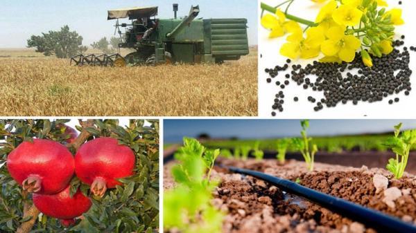 صادرات محصولات کشاورزی به ازبکستان بر واردات پیشی گرفت