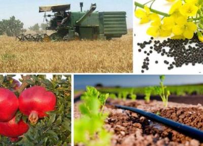 صادرات محصولات کشاورزی به ازبکستان بر واردات پیشی گرفت